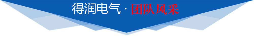 得潤電氣團(tuán)隊(duì)風(fēng)采